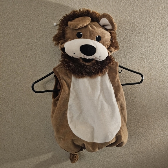 Koala Kids Other - Adorable Lion Costume for Kids